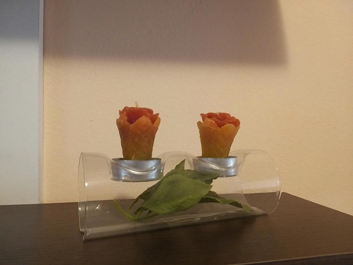 זאדאר Sunny Apartment Jukic With Sea View מראה חיצוני תמונה